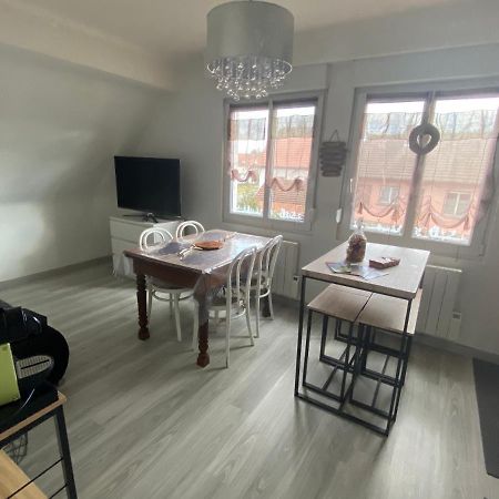 Au Paradis D'Alsace 55 M2 Nature & Relax Ingwiller 외부 사진