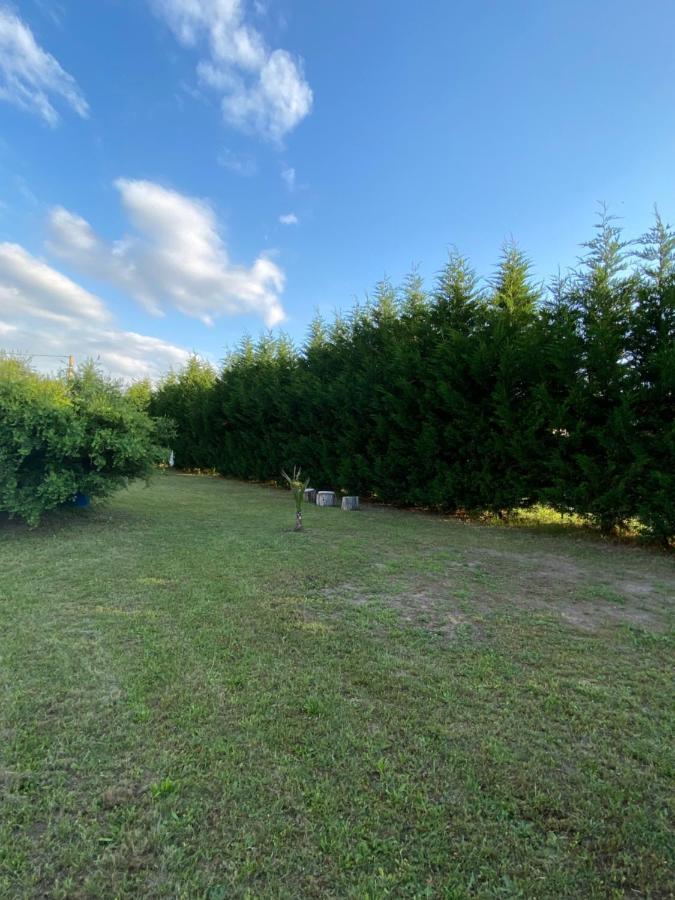 Au Paradis D'Alsace 55 M2 Nature & Relax Ingwiller 외부 사진