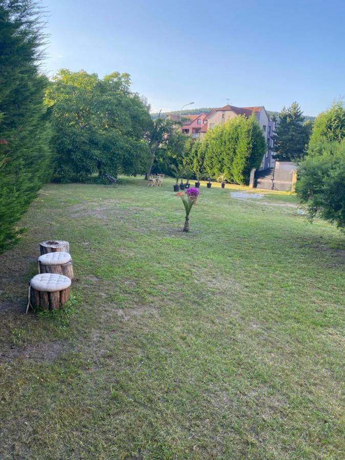 Au Paradis D'Alsace 55 M2 Nature & Relax Ingwiller 외부 사진