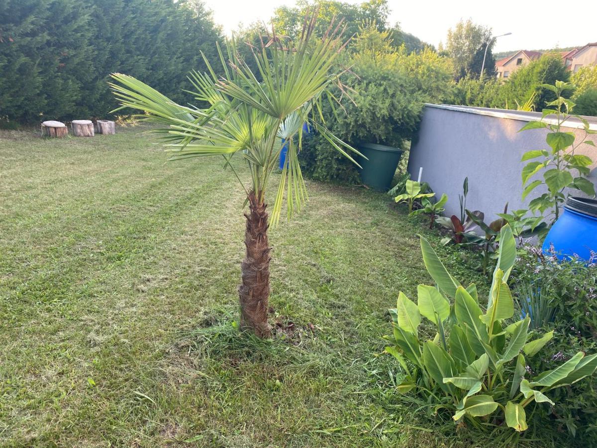 Au Paradis D'Alsace 55 M2 Nature & Relax Ingwiller 외부 사진
