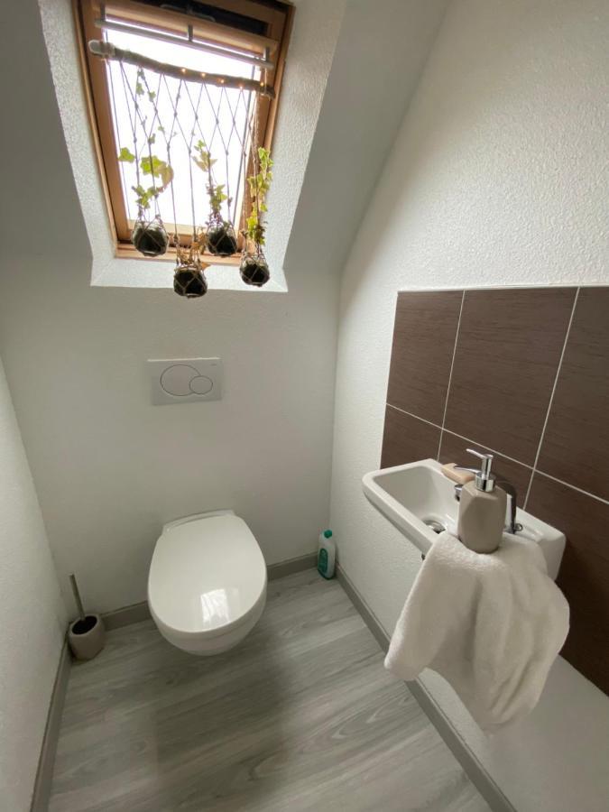 Au Paradis D'Alsace 55 M2 Nature & Relax Ingwiller 외부 사진
