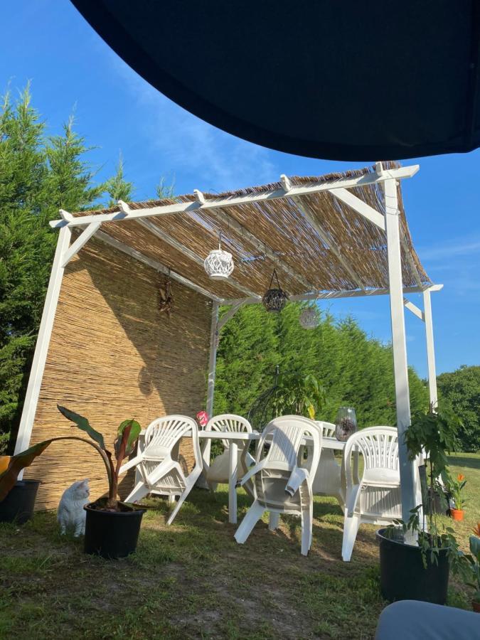 Au Paradis D'Alsace 55 M2 Nature & Relax Ingwiller 외부 사진