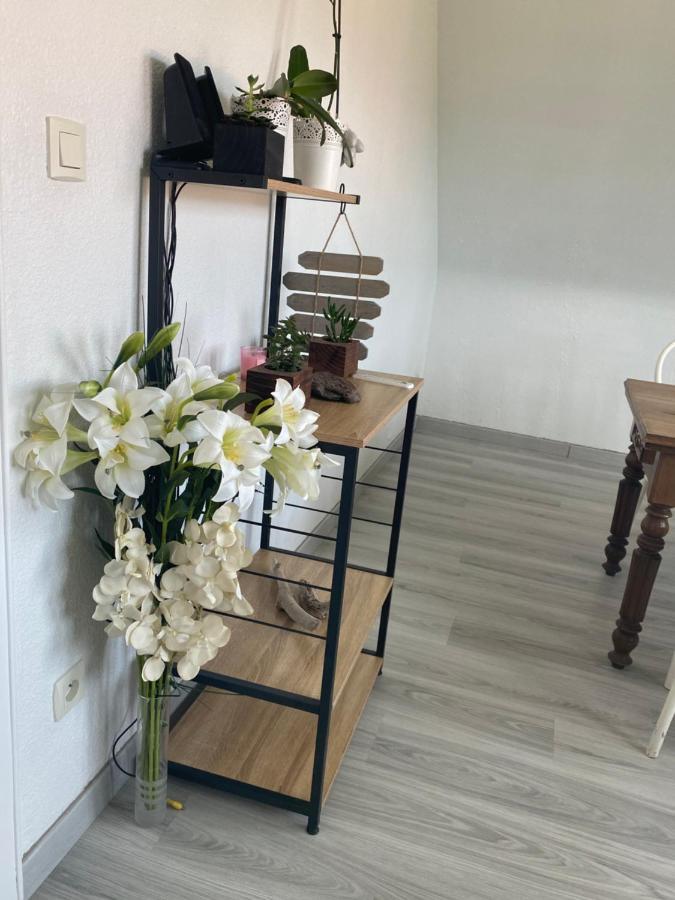 Au Paradis D'Alsace 55 M2 Nature & Relax Ingwiller 외부 사진