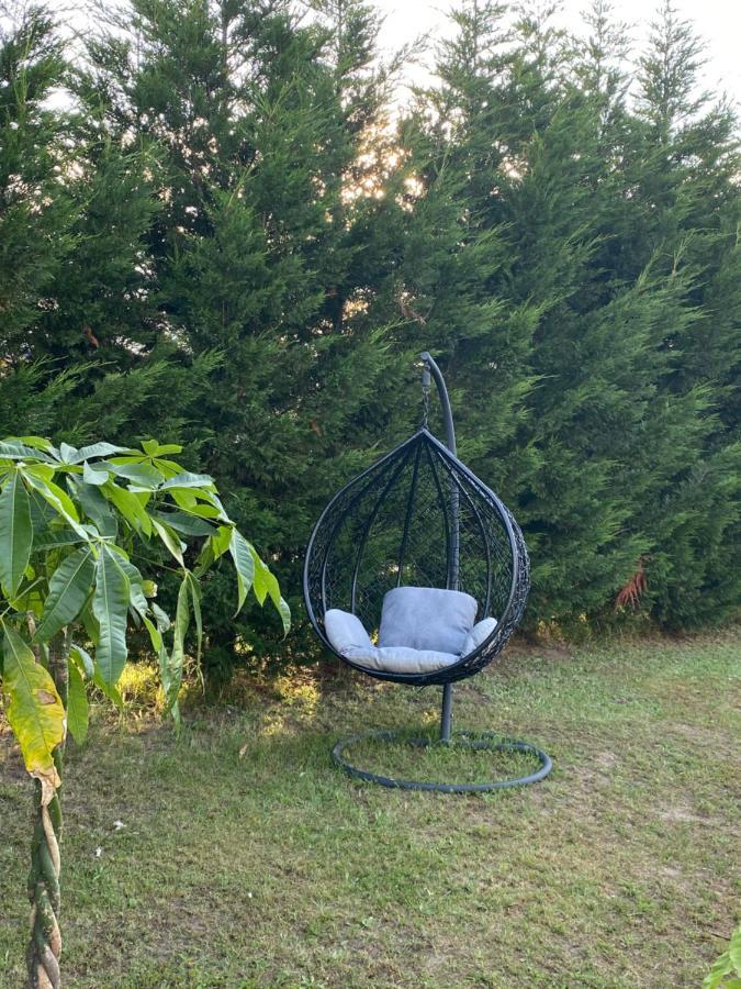 Au Paradis D'Alsace 55 M2 Nature & Relax Ingwiller 외부 사진